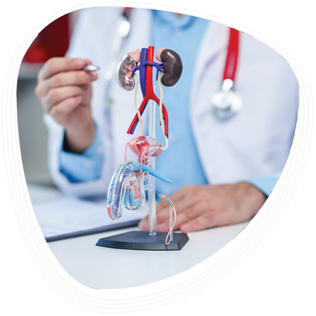 Rajiv Gandhi Cancer Hospital Hospital for Urological Care